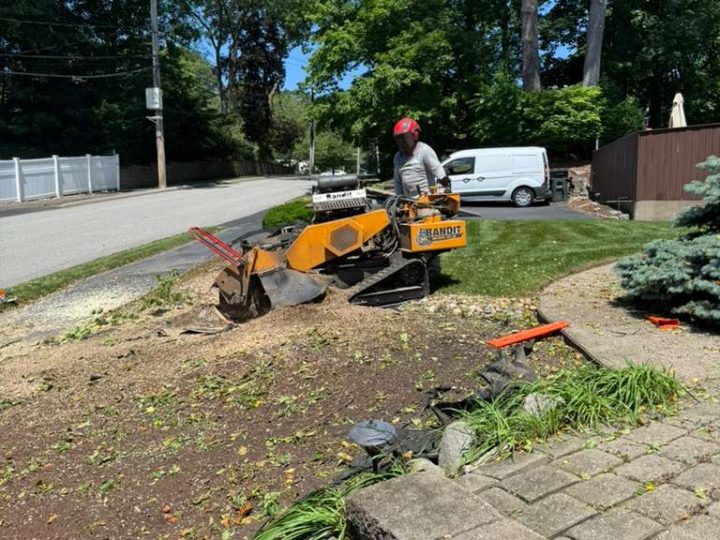 Landscaping2