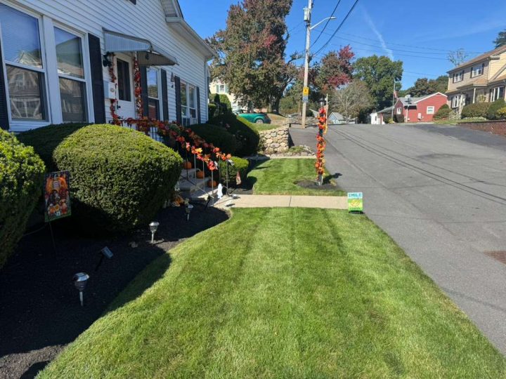 Landscaping24