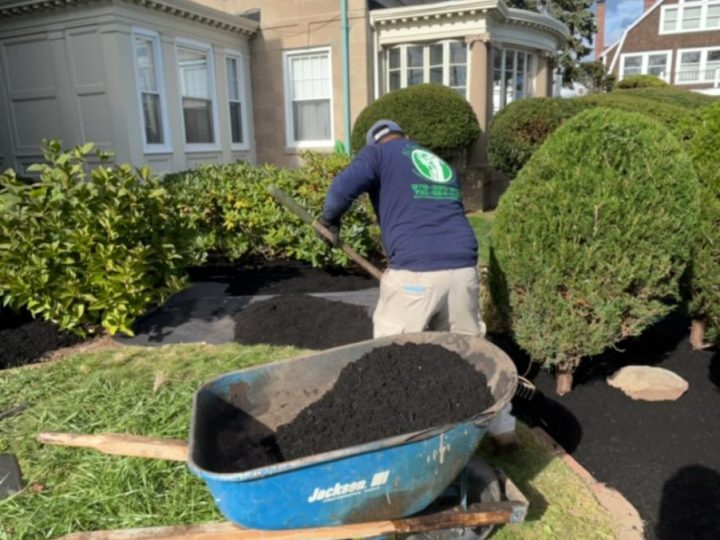 Landscaping33
