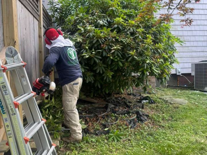 Landscaping4